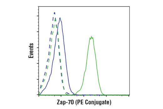 Flow Cytometry Image 1: Zap-70 (136F12) Rabbit mAb (PE Conjugate)