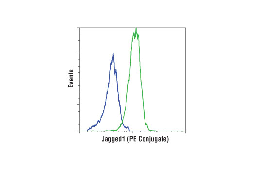 Flow Cytometry Image 1: Jagged1 (D4Y1R) XP® Rabbit mAb (PE Conjugate)