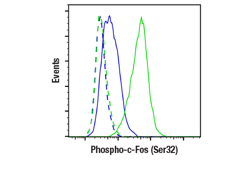 Flow Cytometry Image 1: Phospho-c-Fos (Ser32) (D82C12) XP® Rabbit mAb (BSA and Azide Free)