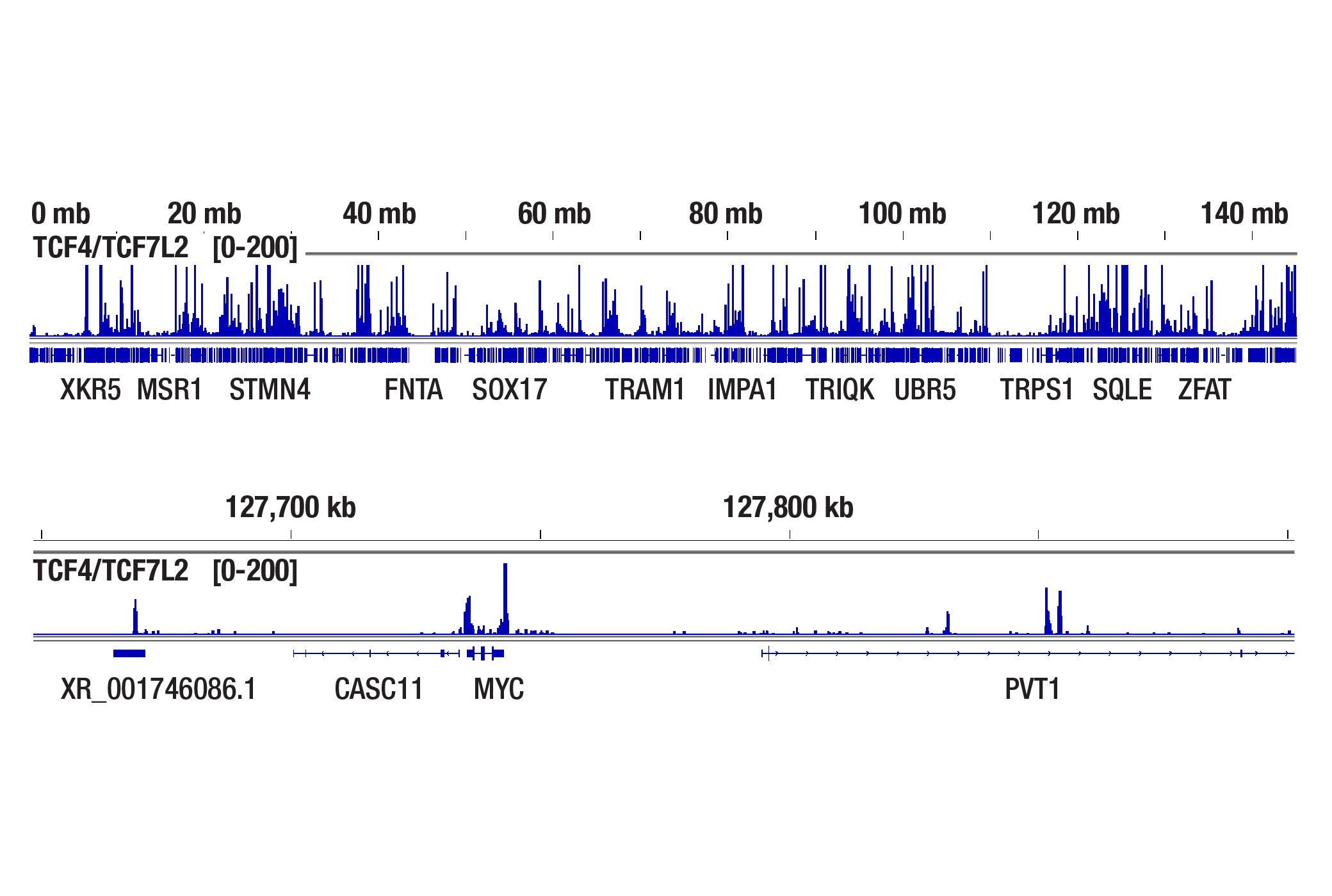 CUT&Tag 测定法是否显示偏向于常染色质或异染色质？(TCF4/TCF7L2)