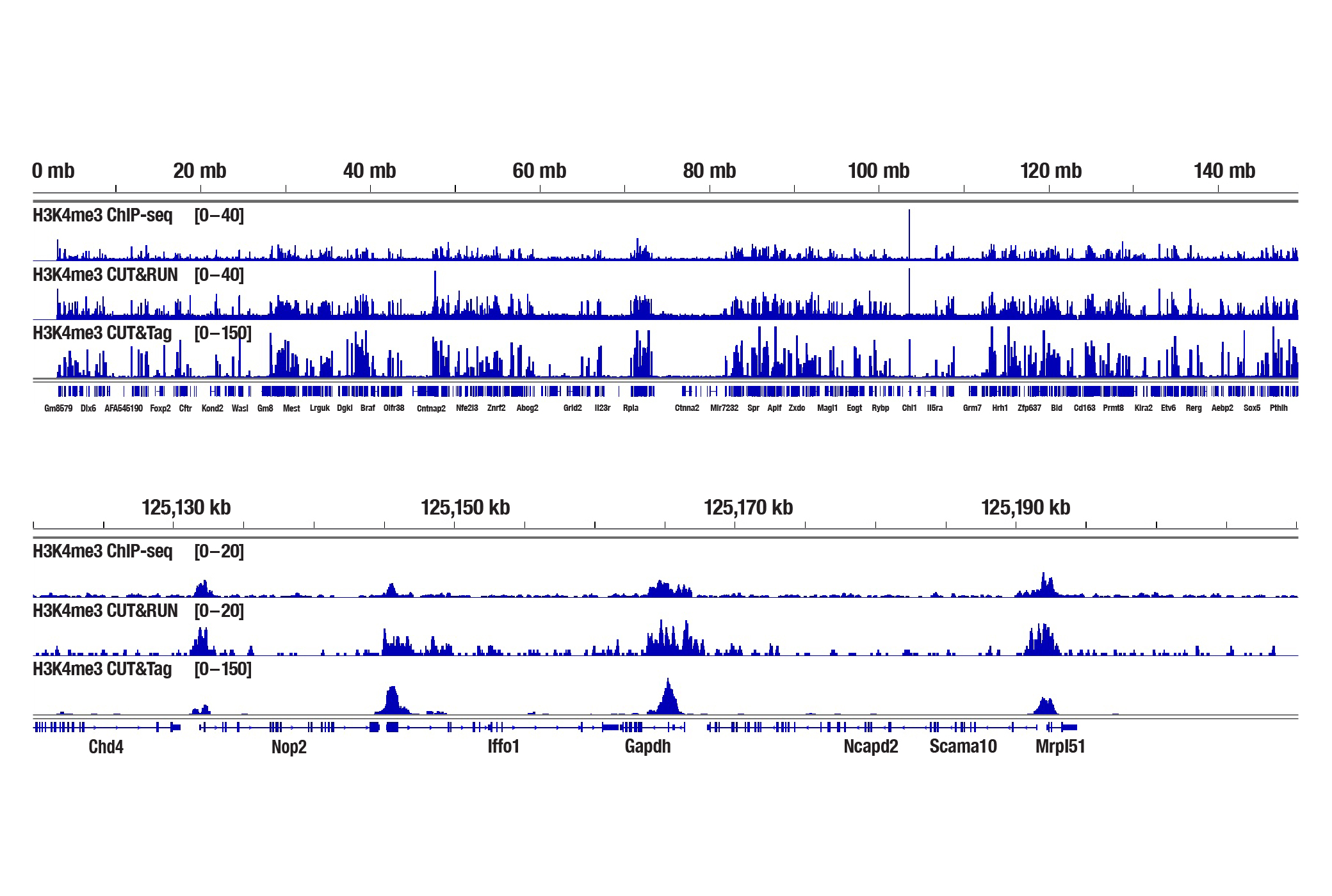 新鲜心脏组织中组蛋白 PTM 的 ChIP-seq 对比 CUT&RUN 对比 CUT&Tag