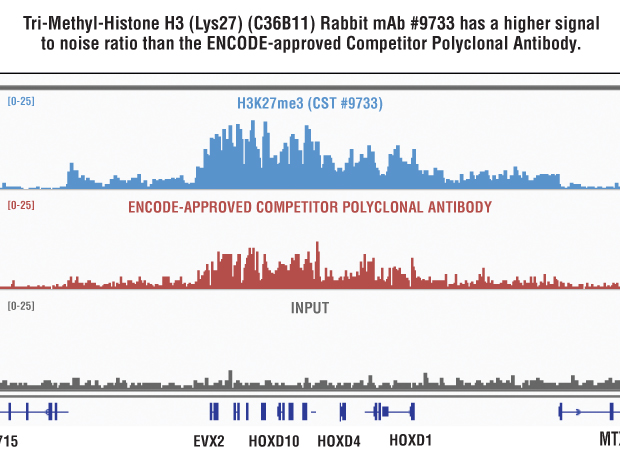 Tri-Methyl-Histone H3 (Lys27) (C36B11) Rabbit mAb #9733 与竞争公司多克隆抗体的并行比较。