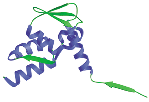 染色质重构：BTB/POZ 结构域