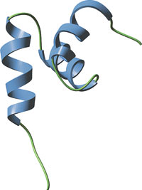 蛋白降解：UBA 结构域