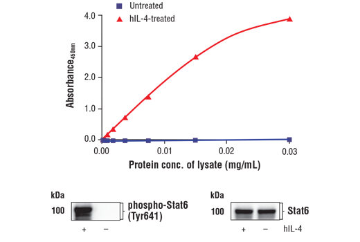 ELISA Image 1: FastScan<sup>™</sup> Phospho-Stat6 (Tyr641) ELISA Kit