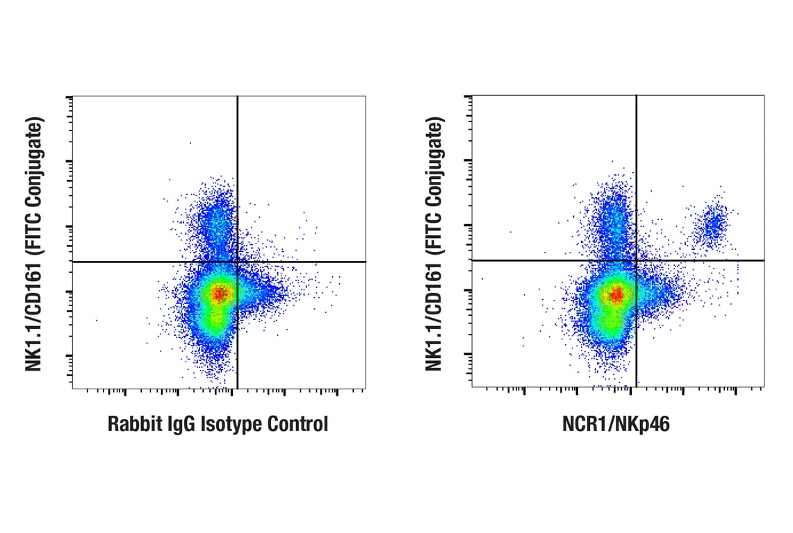 Flow Cytometry Image 1: NCR1/NKp46 (F8M2L) Rabbit mAb