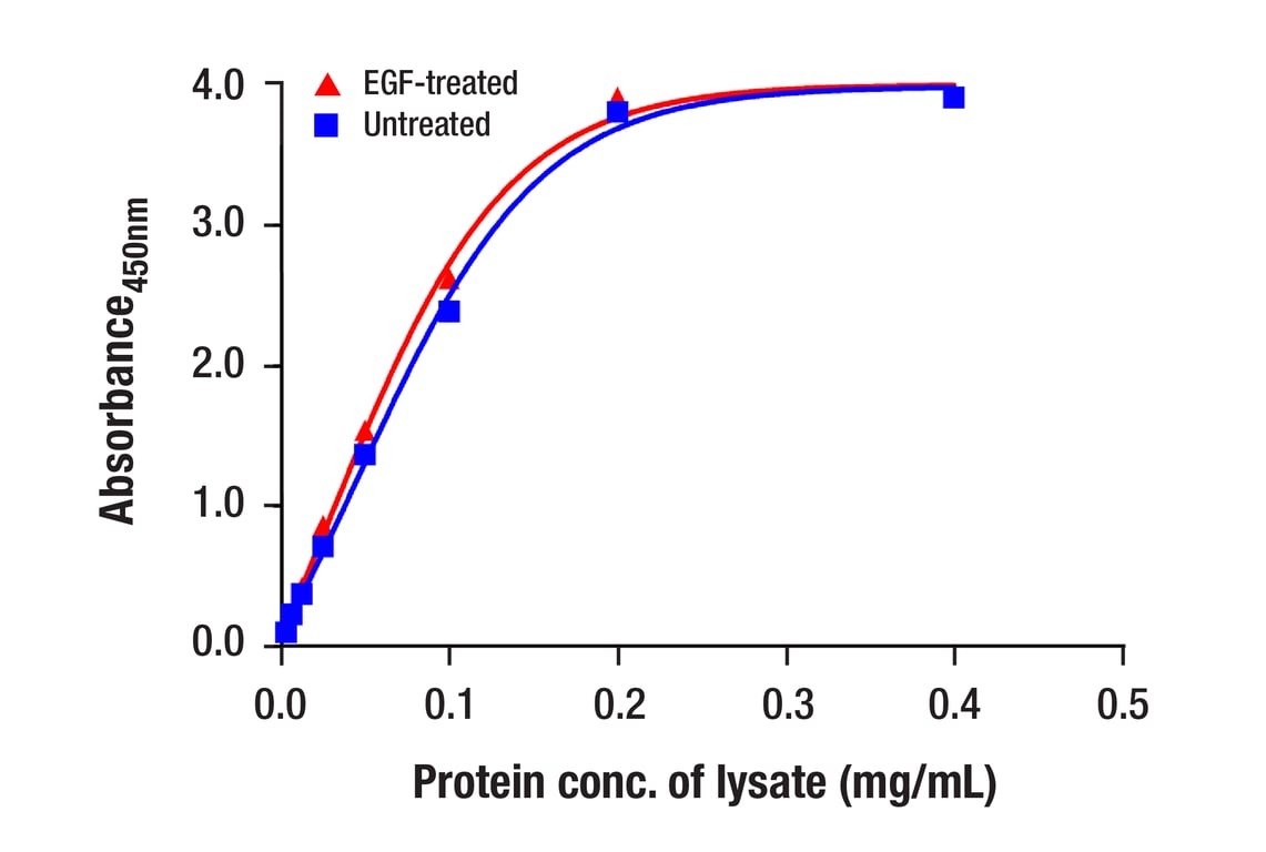 ELISA Image 2: Stat1 (D4Y6Z) Rabbit mAb (BSA and Azide Free)