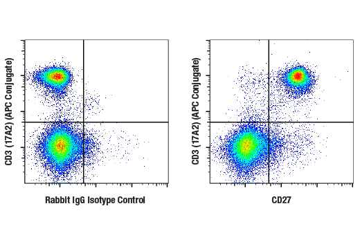 Flow Cytometry Image 2: CD27 (E5E7H) Rabbit mAb
