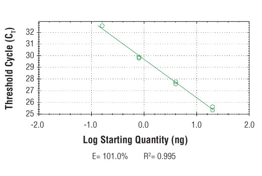 Chromatin Immunoprecipitation Image 2: SimpleChIP<sup>®</sup> Mouse MDM2 Exon 3 Primers