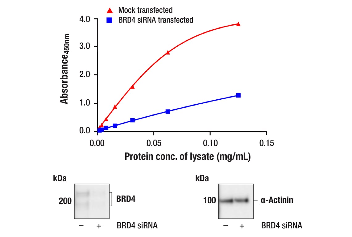 ELISA Image 1: PathScan<sup>®</sup> RP BRD4 Sandwich ELISA Kit