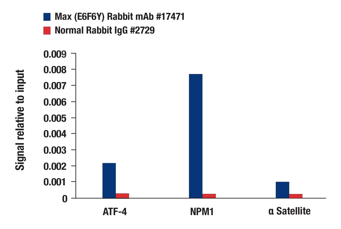Chromatin Immunoprecipitation Image 1: Max (E6F6Y) Rabbit mAb