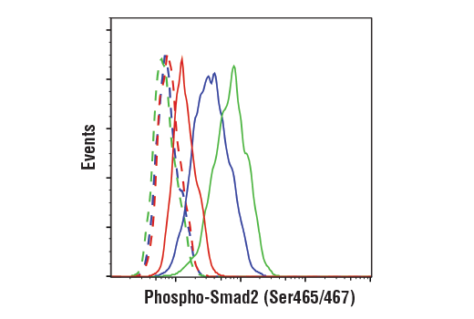 undefined Image 8: PhosphoPlus<sup>®</sup> SMAD2 (Ser465/467) Antibody Duet