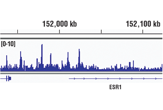 undefined Image 32: BAF Complex Antibody Sampler Kit II