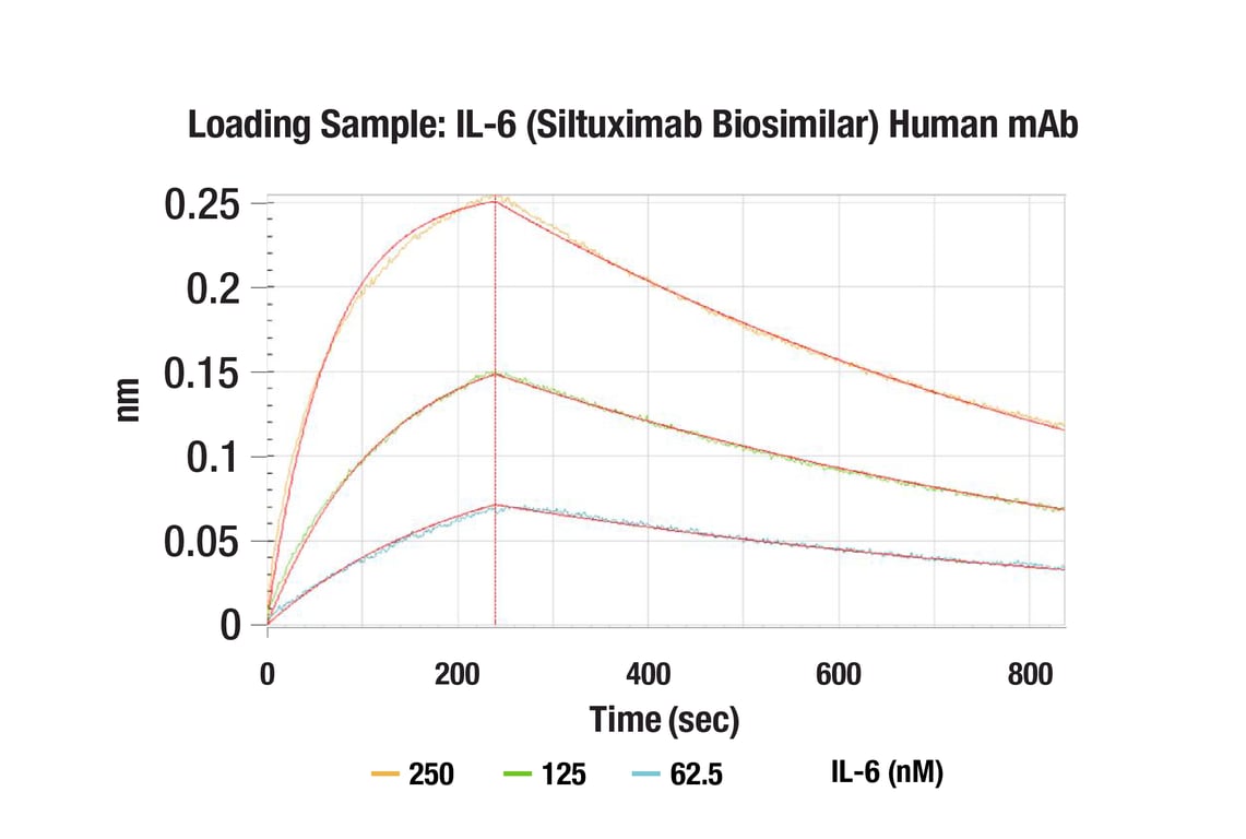 undefined Image 1: IL-6 (Siltuximab Biosimilar) Human mAb