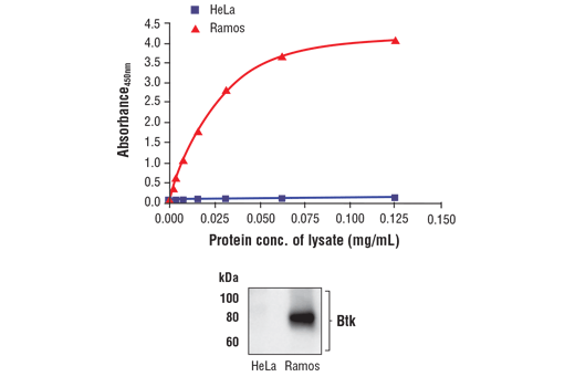 ELISA Image 1: FastScan™ Total Btk ELISA Kit