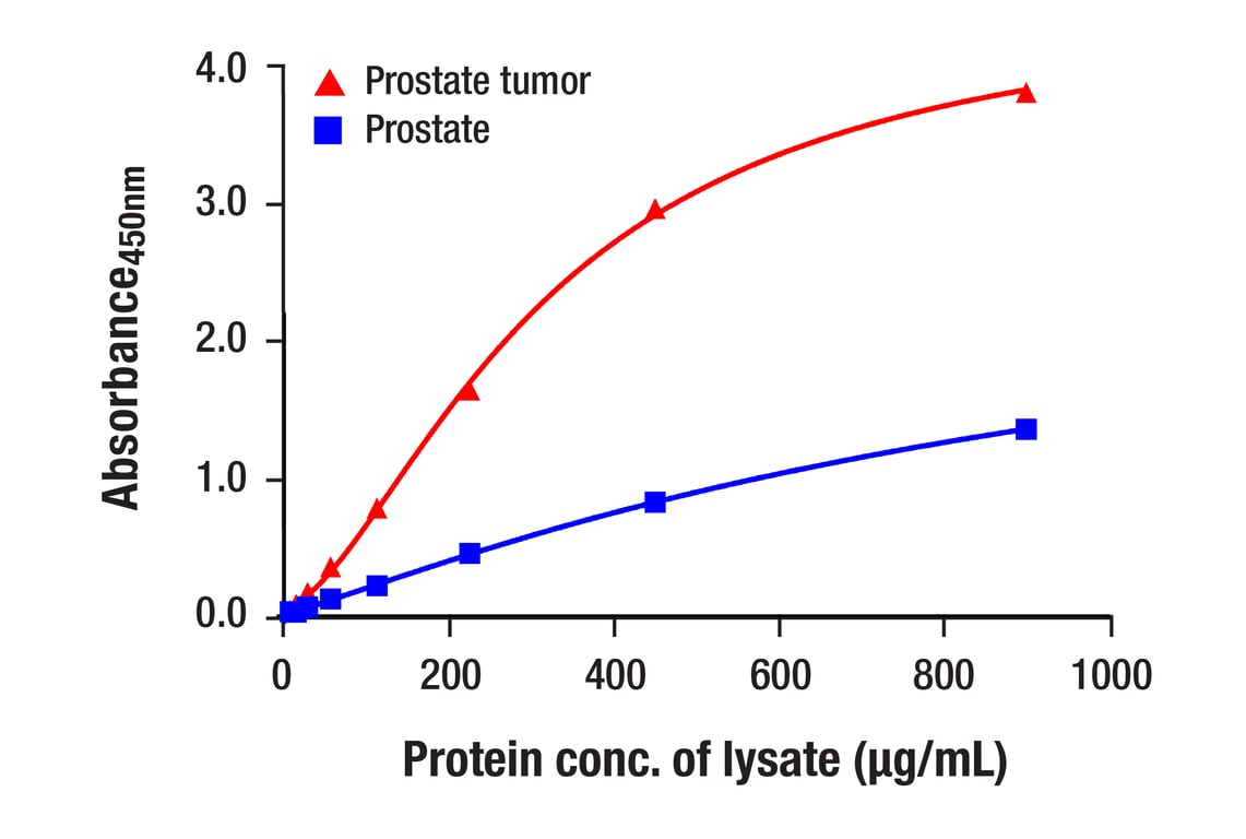 ELISA Image 1: PCNA (PC10) Mouse mAb (BSA and Azide Free)