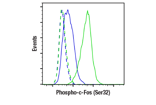 Flow Cytometry Image 1: Phospho-c-Fos (Ser32) (D82C12) XP<sup>®</sup> Rabbit mAb (BSA and Azide Free)