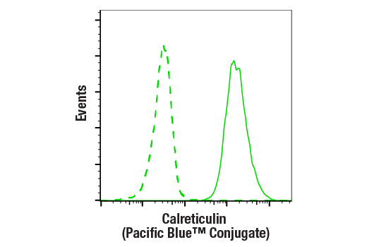 Flow Cytometry Image 2: Calreticulin (D3E6) XP<sup>®</sup> Rabbit mAb (Pacific Blue<sup>™</sup> Conjugate)
