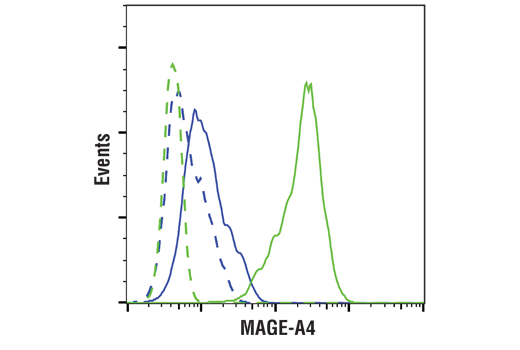 Flow Cytometry Image 1: MAGE-A4 (E7O1U) XP<sup>®</sup> Rabbit mAb