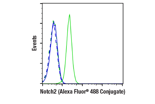 Flow Cytometry Image 1: Notch2 (D76A6) XP<sup>®</sup> Rabbit mAb (Alexa Fluor<sup>®</sup> 488 Conjugate)