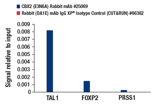 CUT & RUN Image 3: CBX2 (E3N6A) Rabbit mAb