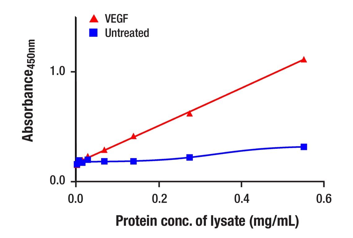 ELISA Image 2: PathScan<sup>®</sup> RP Phospho-VEGFR-2 (Tyr1175) Sandwich ELISA Kit