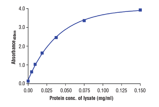 ELISA Image 2: PathScan<sup>®</sup> Total Btk Sandwich ELISA Kit