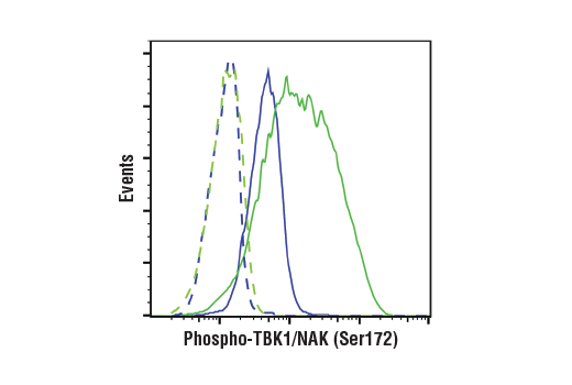 undefined Image 35: Xenophagy Antibody Sampler Kit