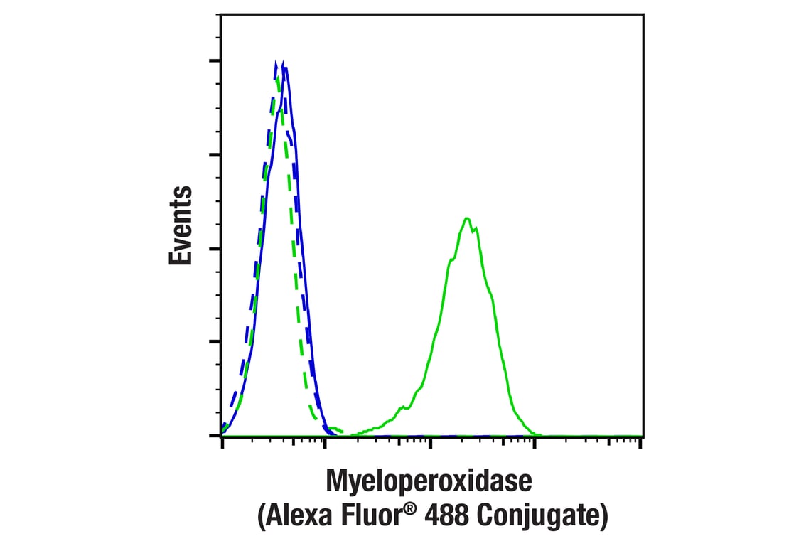 Flow Cytometry Image 1: Myeloperoxidase (E1E7I) XP<sup>®</sup> Rabbit mAb (Alexa Fluor<sup>®</sup> 488 Conjugate)