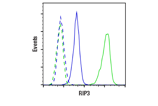 undefined Image 33: Mouse Reactive PANoptosis Antibody Sampler Kit
