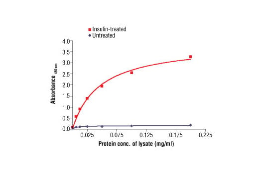 ELISA Image 1: PathScan<sup>®</sup> Phospho-Insulin Receptor β (Tyr1146) Sandwich ELISA Antibody Pair