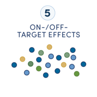 显示靶向蛋白质降解药物开发工作流程中六个步骤的示意图