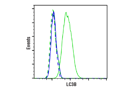 Flow Cytometry Image 1: LC3B (D11) XP<sup>®</sup> Rabbit mAb (BSA and Azide Free)