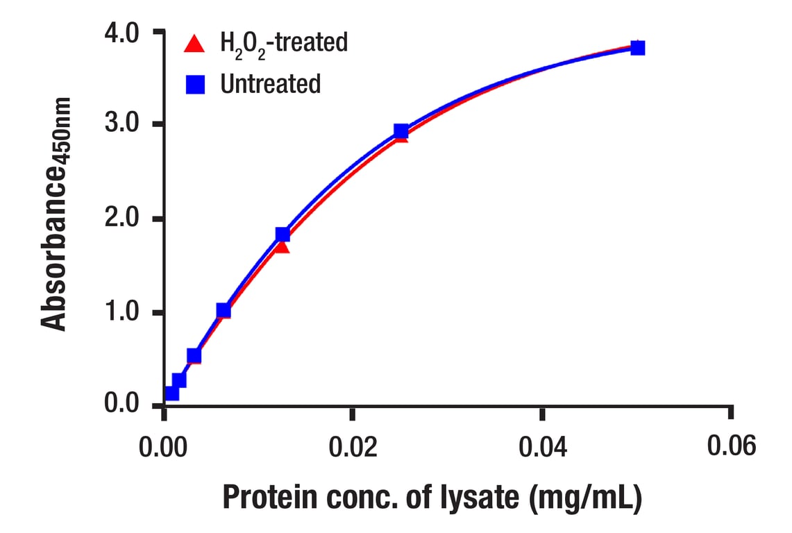 ELISA Image 1: Total Syk Matched Antibody Pair