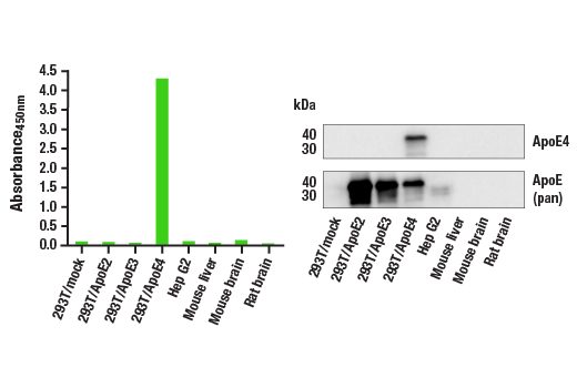 ELISA Image 1: PathScan<sup>®</sup> RP ApoE4 Sandwich ELISA Kit