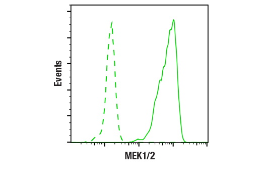 undefined Image 4: PhosphoPlus<sup>®</sup> MEK1/2 (Ser217/Ser221) Antibody Duet