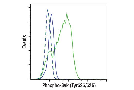 undefined Image 23: B Cell Signaling Antibody Sampler Kit II