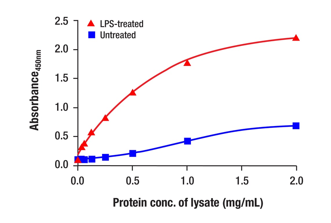Phospho-IKKα (Ser176/180) Matched Antibody Pair