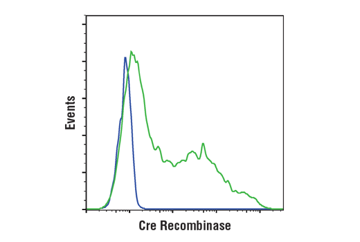 Flow Cytometry Image 1: Cre Recombinase (D7L7L) XP<sup>®</sup> Rabbit mAb (BSA and Azide Free)