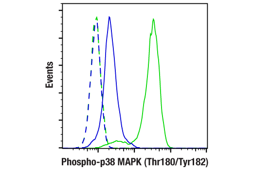 undefined Image 7: PhosphoPlus<sup>®</sup> p38 MAPK (Thr180/Tyr182) Antibody Duet