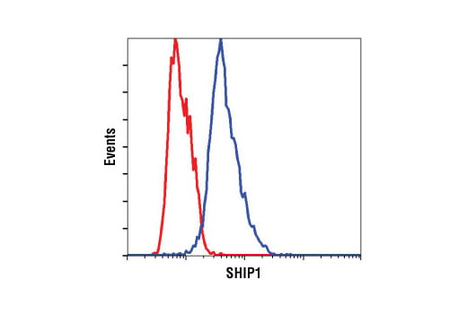 Flow Cytometry Image 1: SHIP1 (C40G9) Rabbit mAb (BSA and Azide Free)