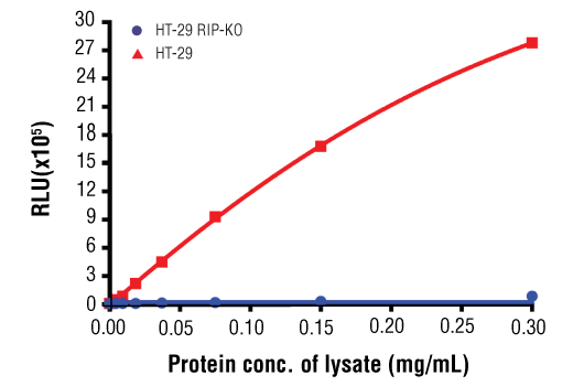 ELISA Image 1: PathScan<sup>®</sup> RP Total RIP Chemiluminescent Sandwich ELISA Kit