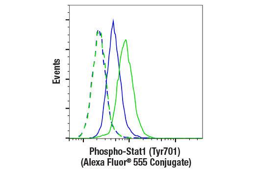 Flow Cytometry Image 1: Phospho-Stat1 (Tyr701) (58D6) Rabbit mAb (Alexa Fluor<sup>®</sup> 555 Conjugate)