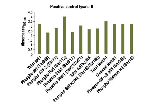 ELISA Image 1: PathScan® Sandwich ELISA Control Phospho Cell Extract II