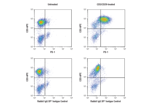 Flow Cytometry Image 1: PD-1 (Intracellular Domain) (D4W2J) XP<sup>®</sup> Rabbit mAb