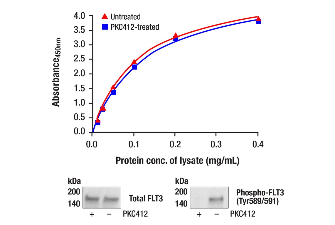ELISA Image 1: PathScan<sup>®</sup> Total FLT3 Sandwich ELISA Kit