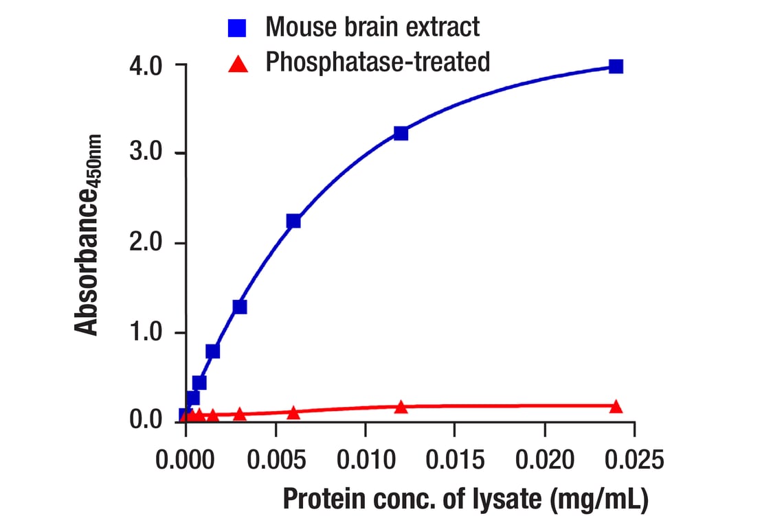 ELISA Image 1: Phospho-Tau (Ser416) (D7U2P) Rabbit mAb (BSA and Azide Free)
