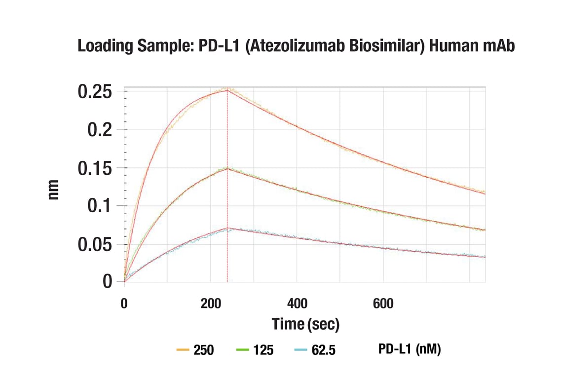 undefined Image 1: PD-L1 (Atezolizumab Biosimilar) Human mAb