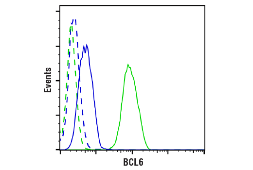 Flow Cytometry Image 1: BCL6 (D4I2V) XP<sup>®</sup> Rabbit mAb (BSA and Azide Free)