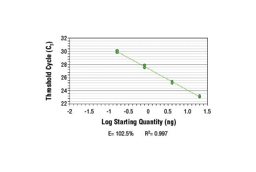 Chromatin Immunoprecipitation Image 2: SimpleChIP<sup>®</sup> Mouse ATF-3 Intron 1 Primers